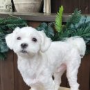 (주)노마드트래블 이미지