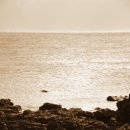 바다풍경 - 태안군 신두해변길 136-5 | 바다풍경