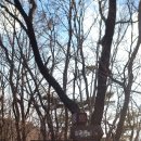 솔밭가든 이미지