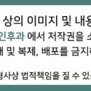 코앤365이비인후과의원 이미지