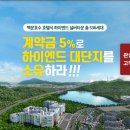 백운산숲속의아침 이미지