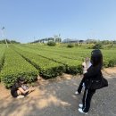 승혜목장 이미지