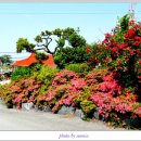 북촌민박 이미지