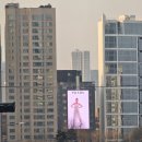 블루펄빌딩 이미지