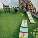 베일리애견풀빌라펜션 이미지