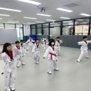위너태권도장 이미지
