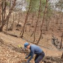 물골농장 이미지