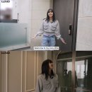 라우드