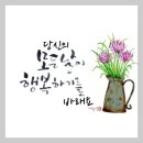 도운