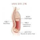 킴스필라테스 네이버블로그