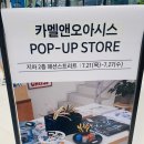 시티오아이스 이미지
