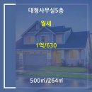 분당-313 이미지