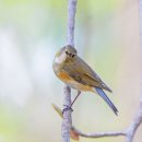 달건너농장 이미지