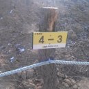 여주참숯마을 캠핑장 이미지