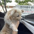 무한댕 이미지