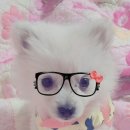 딴딴