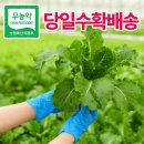 이조은주식회사 쇼핑하우
