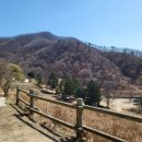 라 까시나 이태리 이미지