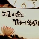 [ 잘못을 저지르고도 뻔뻔하게 사과 없이 변명과 거짓말로 순간만 모면하려 한 사람들의 향후 비참한...