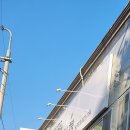 포우포우 반려견 유치원 이미지