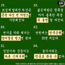 스펀지 이미지