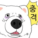 명동꽃갈비 이미지
