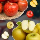 달은농장 이미지