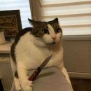 씨유 연희효율점 | 세 인생을 살거야.. 새 스펠링도 틀리네