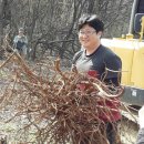 배미농장 이미지