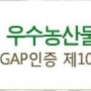 맥 태권도장 이미지
