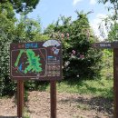 윤황선생 묘소일원 이미지