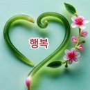 Flight of the Bumblebee / Rossini William Tell Overture Final 이미지