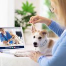 동원동물병원 이미지