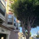 인(INN) | 샌프란시스코 가성비 호텔 코벤트리 인 (coventry motor inn) 후기