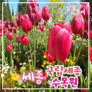 양산엘지전자서비스센터 | 세종 국립세종수목원 데이트 코스 완벽 정리! 양산 대여 꿀팁부터 가든센터 꽃 쇼핑까지