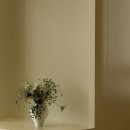 쁘띠메리 | 송도 소규모 돌잔치 스튜디오 트레조 TREZO 투어 및 계약 후기