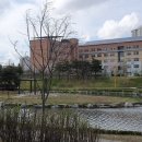 바람꽃공원 이미지