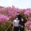 봉화산주차장 이미지