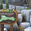 서림공원 유아숲체험원 이미지