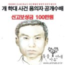 수배농장 이미지