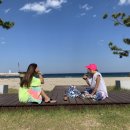 등대비치게스트하우스 이미지