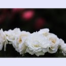 곡성-052 티스토리