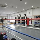 레이블YG센터 이미지