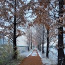 논현포대근린공원3 이미지