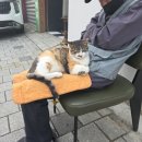 답십리역(5) | 용답동/답십리역 맛집 초밥짓는정노 솔직 후기