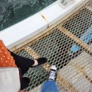 에그셀런트 동해천곡점 이미지