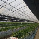 산소농장 이미지