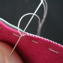 바늘과실 이미지