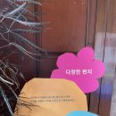 영클린