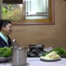 시골오리 이미지